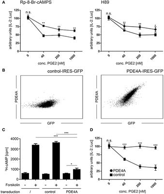 Overexpression of PDE4A Acts as Checkpoint Inhibitor Against cAMP-Mediated Immunosuppression in vitro